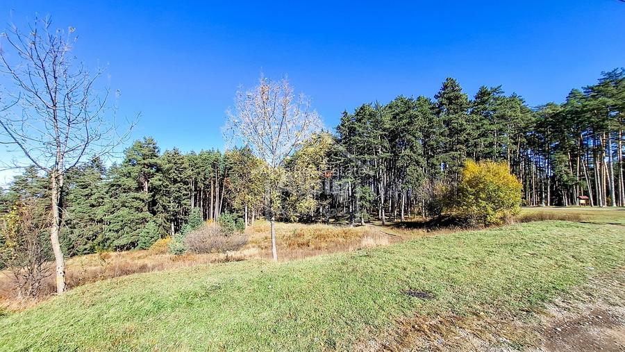 Teren Intavilan I Poiana Angelescu Sacele - 14