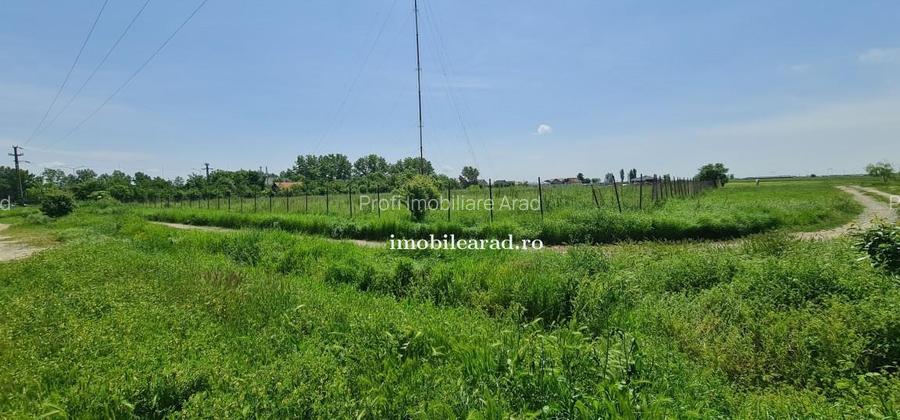 Teren intravilan 10.000mp cu utilitati, imprejmuit, Loc. Sanleani intre case, pr - 10