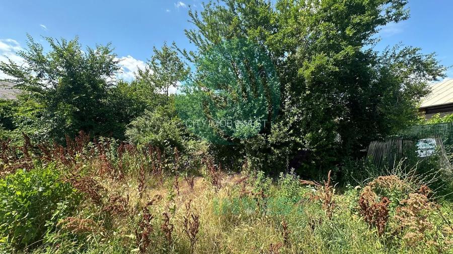 Teren 16534 mp pentru dezvoltare rezidențială, Siliștea Snagovului - 7