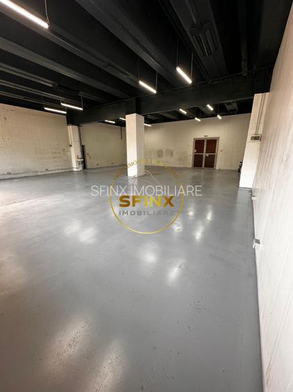 Spatiu depozitare | Productie | Theodor Pallady - 4