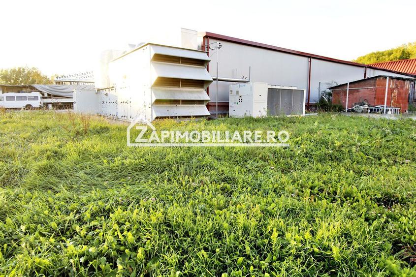 Spatiu de inchiriat Craiesti - 5