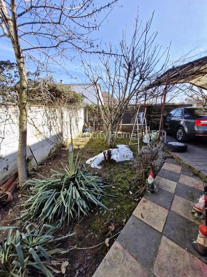 Chiajna Vlad Tepes - 15