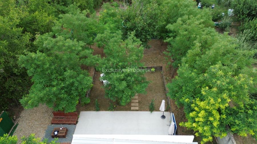 Casa de vacanta / spatiu comercial de vanzare – Frumusani - 10