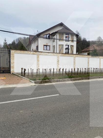 Domeniu de vanzare, Baile Govora(Pausesti-Otasau) cu teren de 20875mp - 5