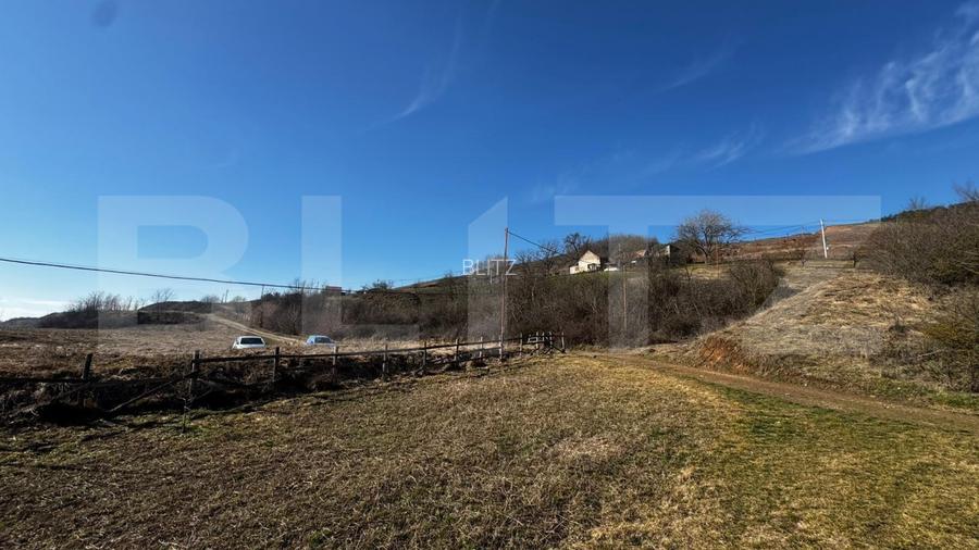 Teren extravilan 3100 mp cu ieșire la râul Mureș - 3