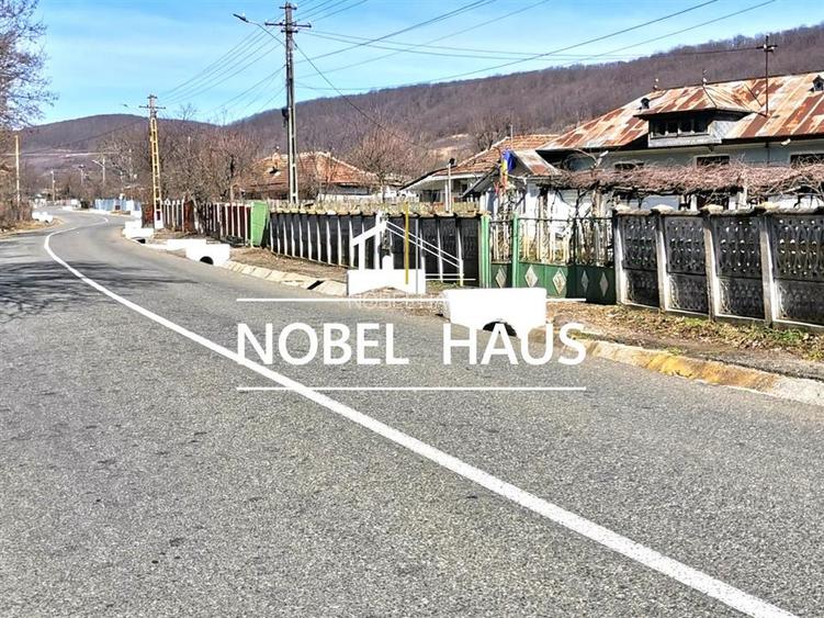 Casa, teren si padure, in sat Siscani, jud Vaslui - 17