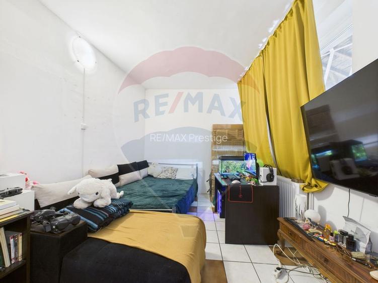 Proprietate speciala Dragomiresti Deal -Teren 15000 mp - 13