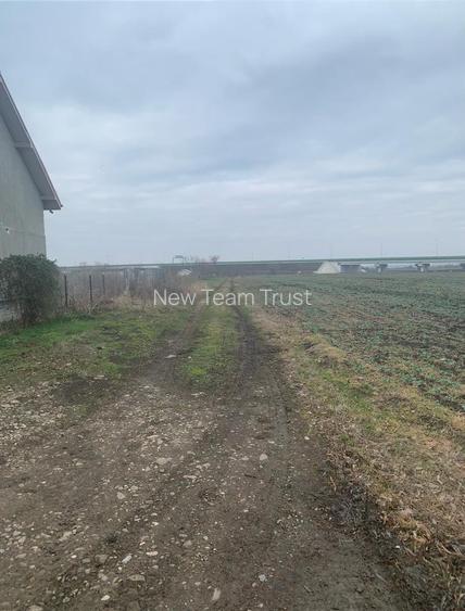 Vanzare Teren Otopeni 23 August-  Tunari - Dimieni - Tamasi - 9