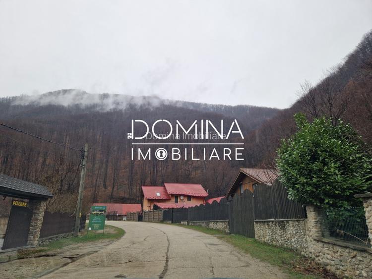 Vânzare teren,  situat în  Comuna Peștișani , sat Gureni - zonă de munte - 4