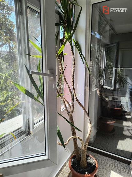 COMISION 0% Apartament cu o camera de inchiriat, etajul 1, zona Brancoveanu - 8