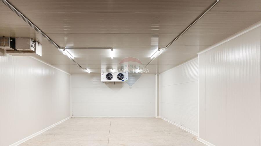 BUSINESS DE VANZARE Plantatie de afin din Romania - 10