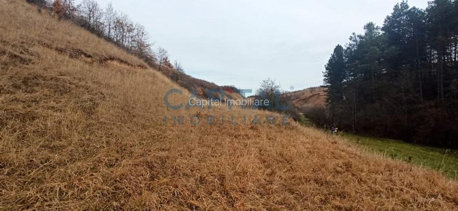 COMISION 0 LA CUMPARARE !! Teren de vanzare in Savadisla ! - 6