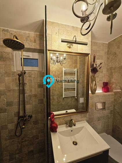 Piata Victoriei-Doctor Iacob Felix - 4