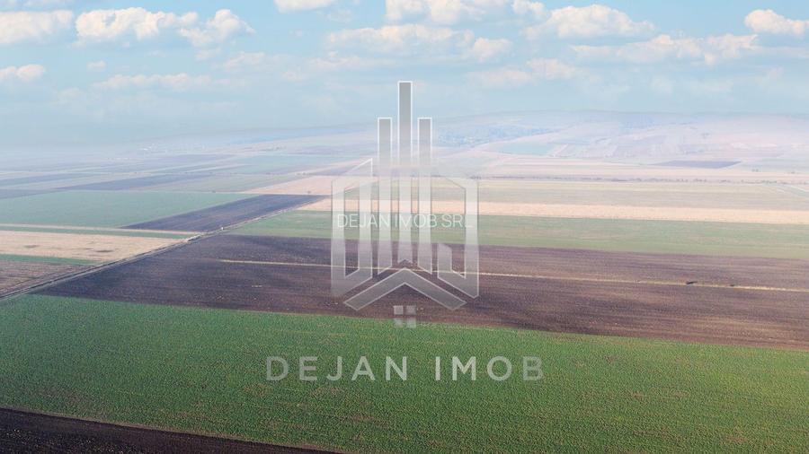 5 Ha | Teren extravilan | Langa Fabrica Reci - 3