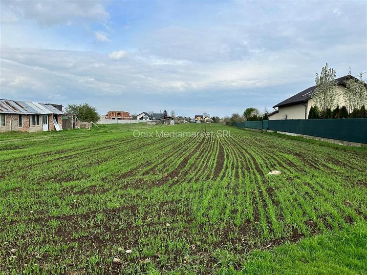 TEREN INTRAVILAN STREJNICU - 6