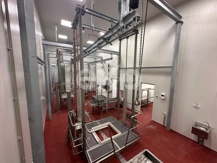 Ferma cu abator autorizat | Singureni Giurgiu - 14