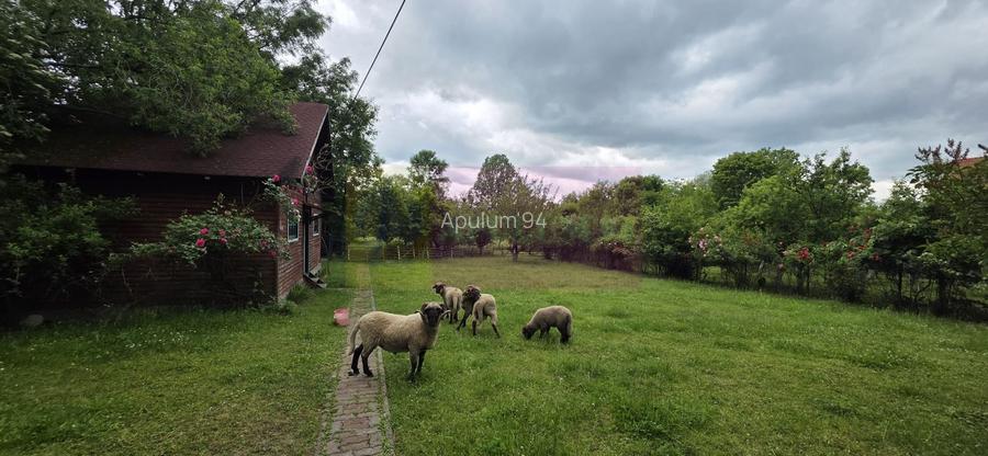 Vila de vanzare cu 6 camere si teren de 5116 mp in Cornu, Prahova - 32