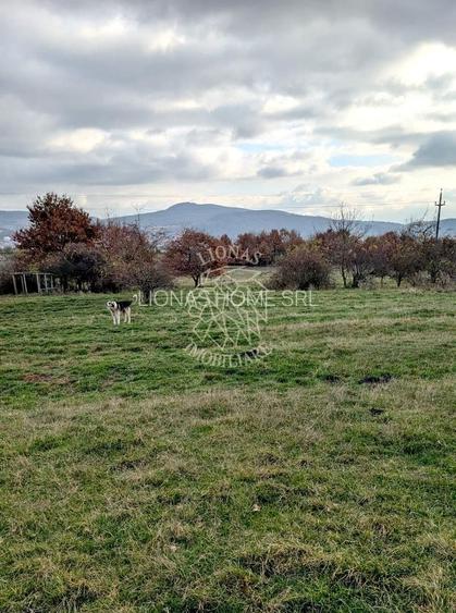 Teren intravilan 1433 mp-Parcelabil-ideal casa-Zona Dr. Dumitrei - 2