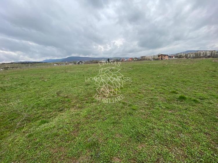 Teren Intravilan 550 mp-ideal casa-Zona Zavoaie - 5