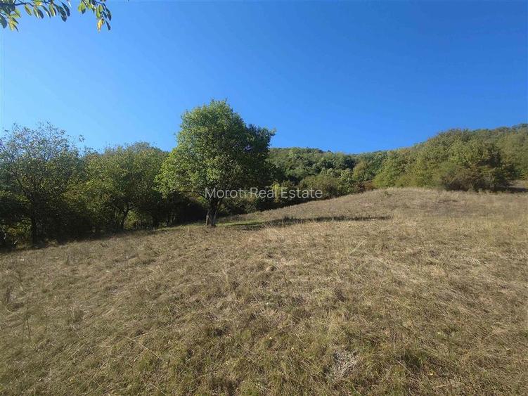 14075 mp teren cu acces la utilitati - Criscior - 7