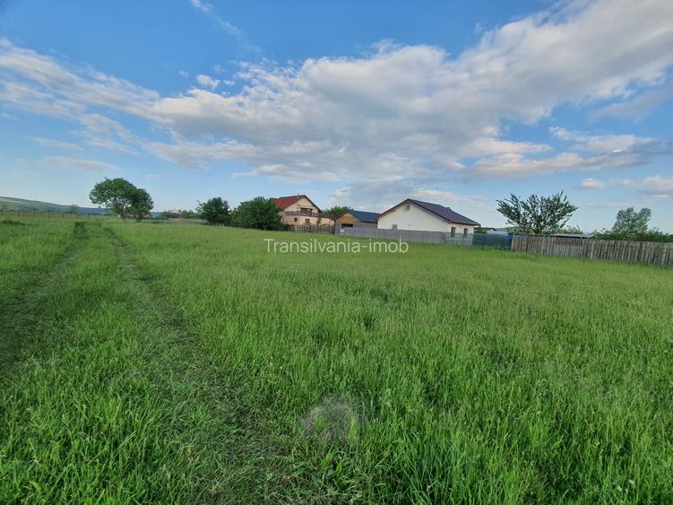 Teren rezidential Bod-Brasov zona de case - 4