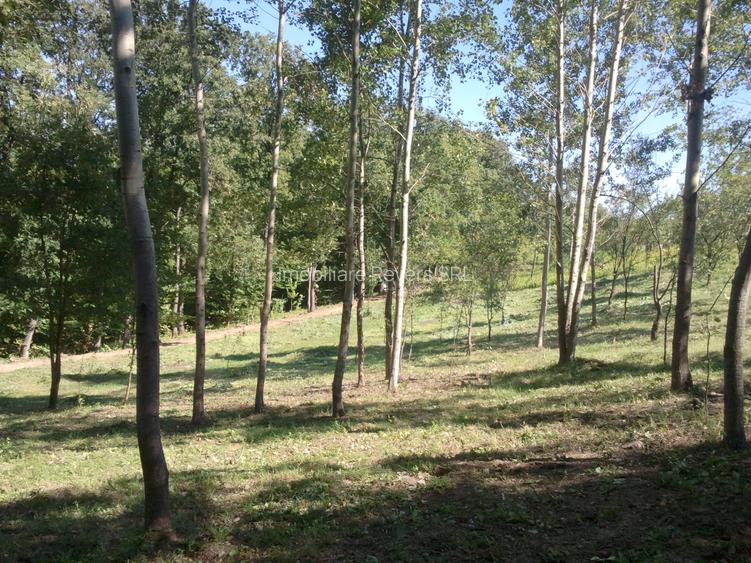 Teren livadă cu panoramă superbă Dealul Malului pentru casă sau cabană - 17