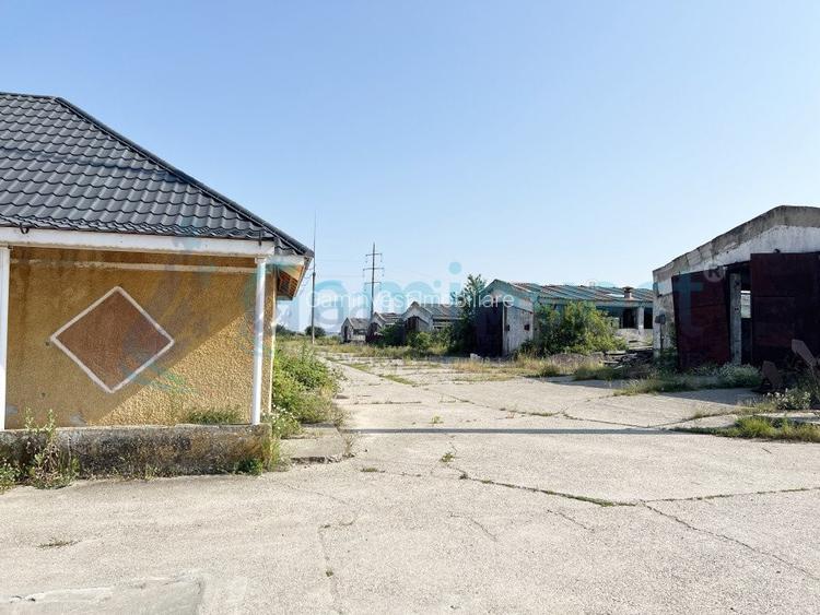 Complex industrial pe 25.659 mp teren, acces drum asfaltat, Bihor  - 2