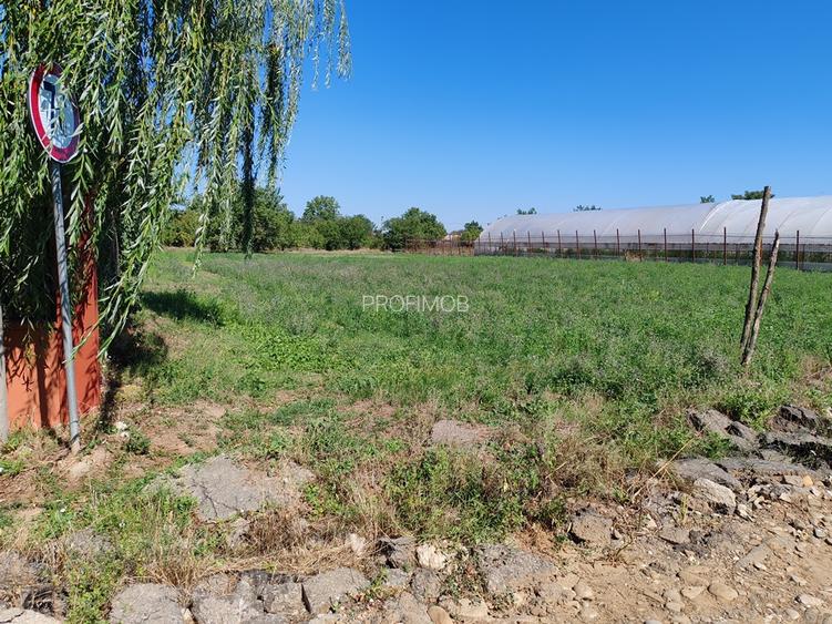 Teren intravilan , liber , zona linistita , civilizata , 40 km de Bucuresti - 3