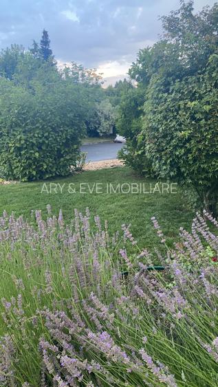 Vanzare casa Paradisul Verde Corbeanca - 19