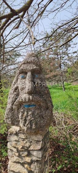 Ferma Hermes Slobozia - 10