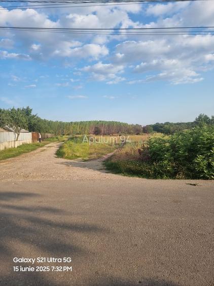 Se vinde teren 2150 mp in Teisori Giurgiu - 4