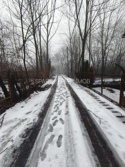 TEREN INTRAVILAN\\CORNU DE JOS - 4