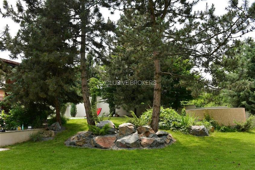 VILA SUPERBA SNAGOV  DESCHIDERE 40 ML LAC  TEREN 1750 MP - 33