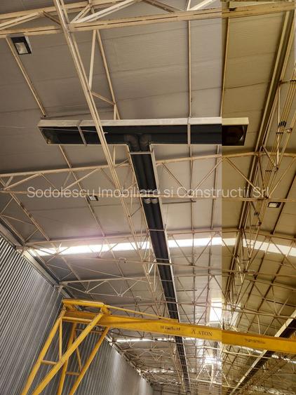 Hale depozit-productie industriala la 20 km de TM - 10