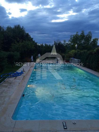 O Poveste de Vis pe Malul Lacului Snagov - 56