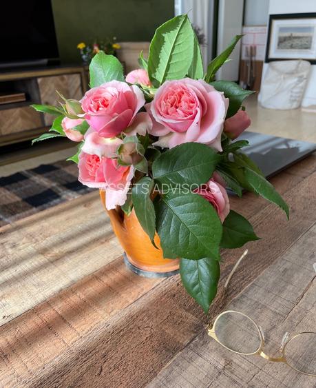 Villa with  7 rooms/ Heated Pool/ Pipera - 18