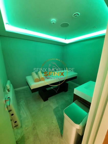 Kiseleff, rental, pet friendly, 5 rooms, 241 sqm, 84sqm terraces, 2 parking lots - 39