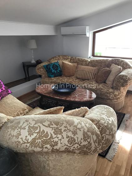 Luxury Residence with Pool and 1000 sqm Garden | Iancu Nicolae - 13