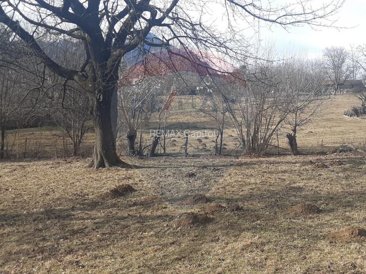 Teren 10,279 mp Bran- Predelut / Strada Pe Tarina nr. 70A - 5