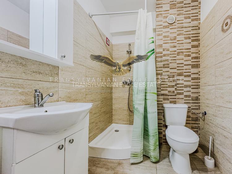 Apartament modern cu 1 cameră situat pe Str Gaudi/Borhanci - 15