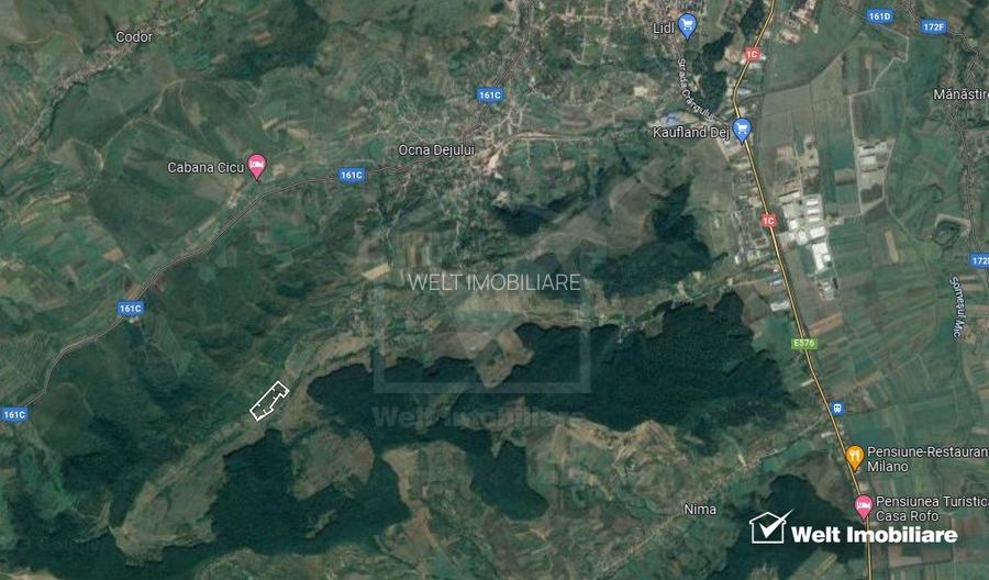 Teren extravilan, Valea Chiejdului, 5 ha, expunere S-E - 3