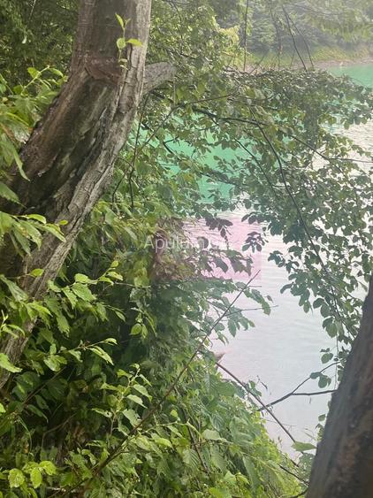 Teren cu deschidere la lac – Valea Doftanei, Prahova - 11