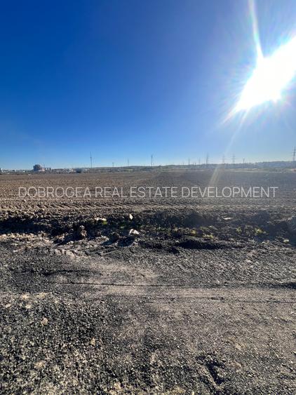 Medgidia -Teren 3 ha , deschidere la DN 22C , vizavi de Fluvimed Medgidia - 7