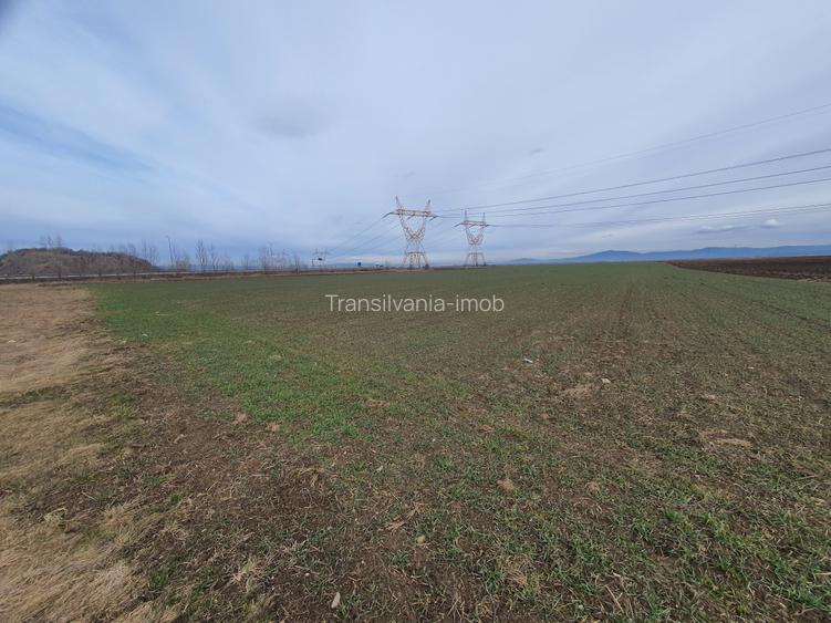 Teren centura Brasov pretabil investitie 5 euro/mp - 3