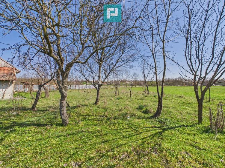 Casă cu teren de 6000 mp în Duboz, Timiș - 14