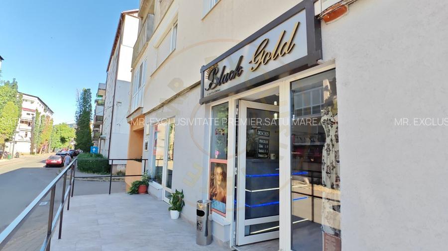 Spatiu Comercial cu Afacere la Cheie - Str. C. Coposu - Carei - 10