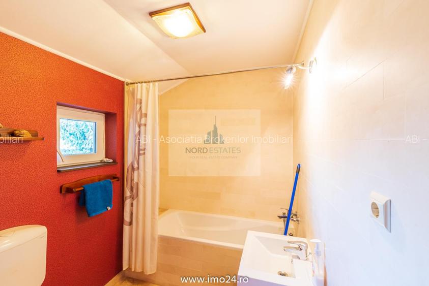 Vila de inchiriat Parcul Carol - 5