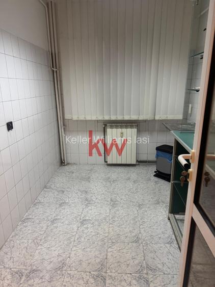 Spatiu comercial la bulevard, cu vad intens, Podu Ros, liber! - 12