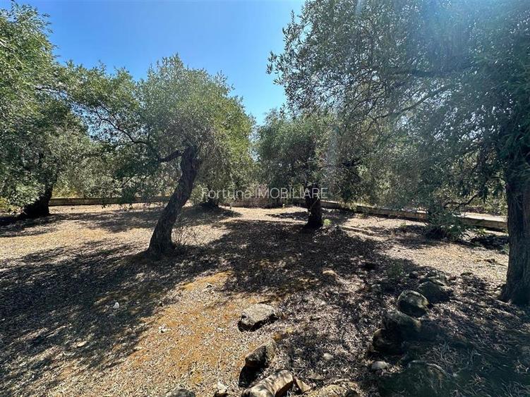 Teren intravilan pe insula Thassos, aproape de plaja salbatica - 11