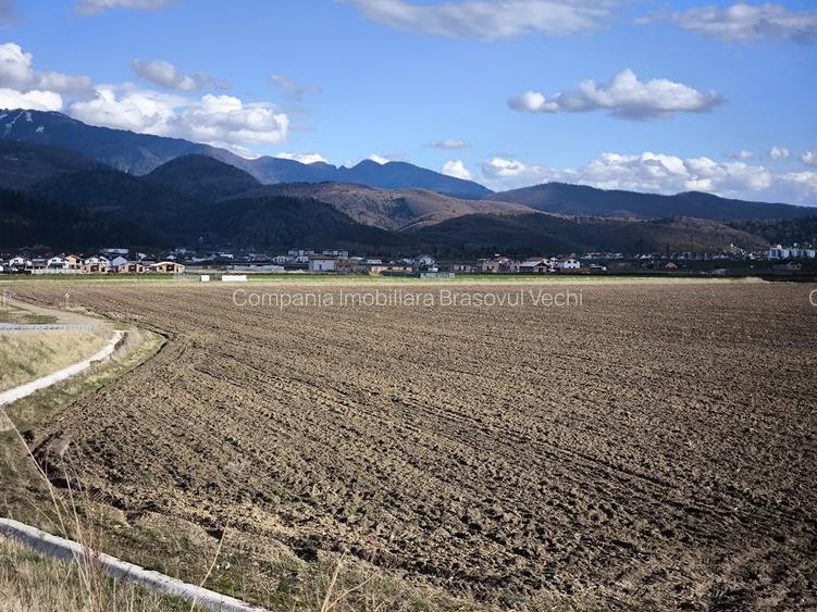 Teren intravilan pentru dezvoltare rezidentiala, Cristian - Brasov. - 7